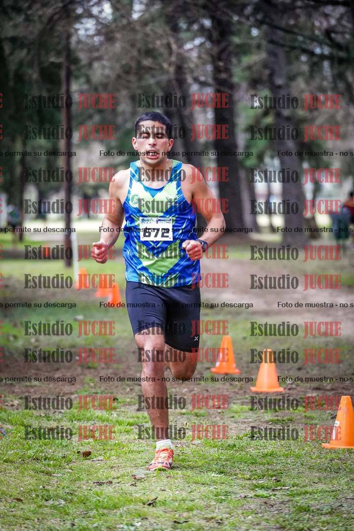 Fotos en el circuito