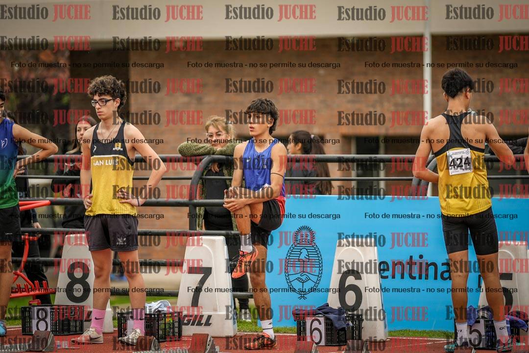 Fotos de los 110 m con vallas de varones