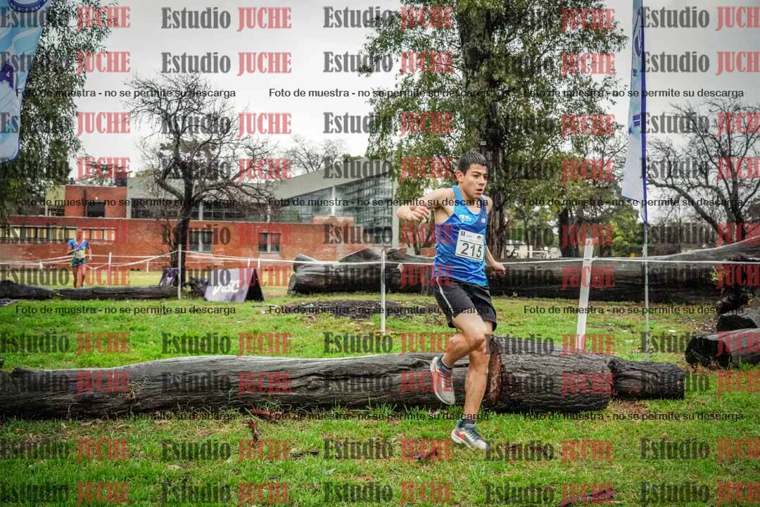 Fotos en el circuito