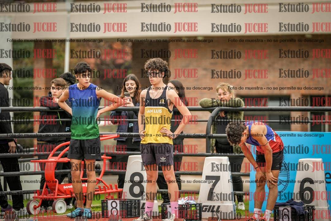 Fotos de los 110 m con vallas de varones