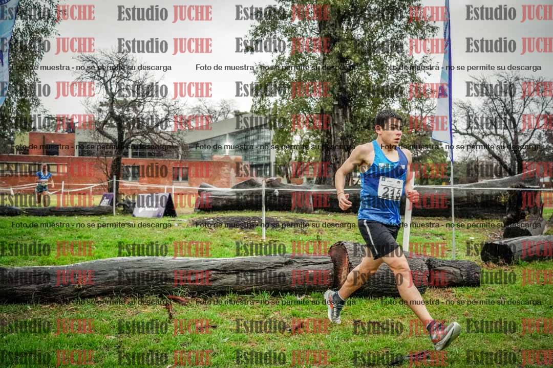 Fotos en el circuito