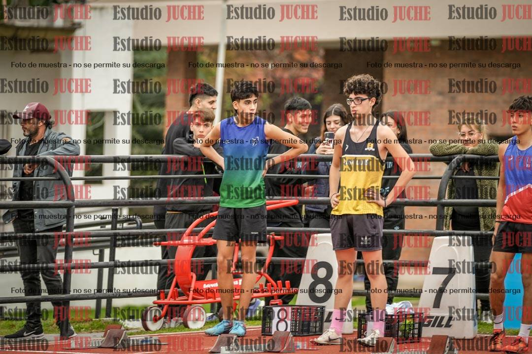 Fotos de los 110 m con vallas de varones