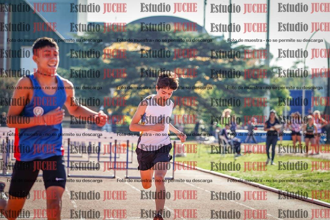 Fotos de los 110 m con vallas de varones