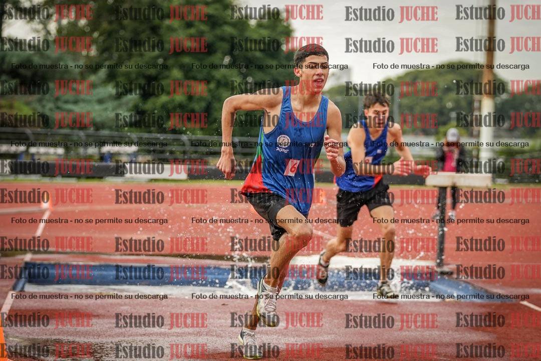 Fotos de los 3000 m con obstáculos de varones