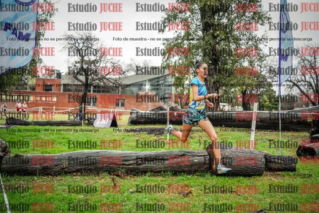 Fotos en el circuito
