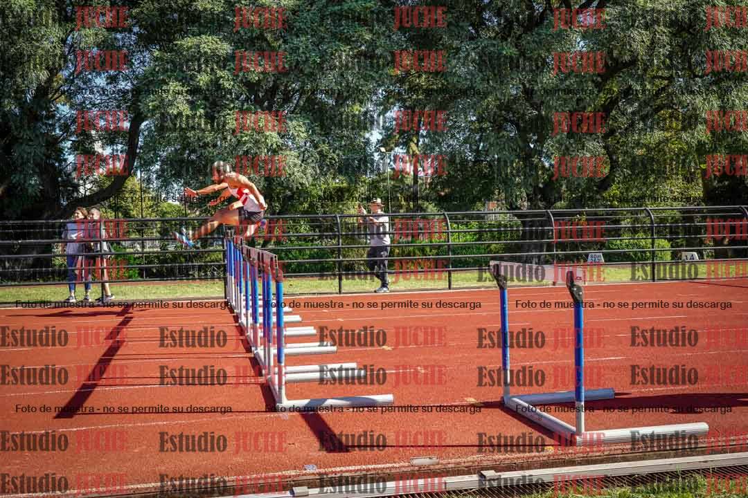 Fotos de los 110 m con vallas de varones