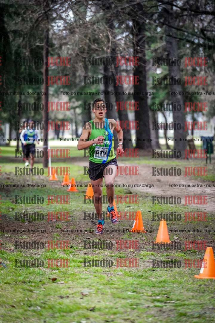 Fotos en el circuito