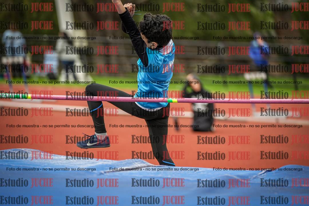 Fotos del salto en alto de mujeres y varones - todos los grupos