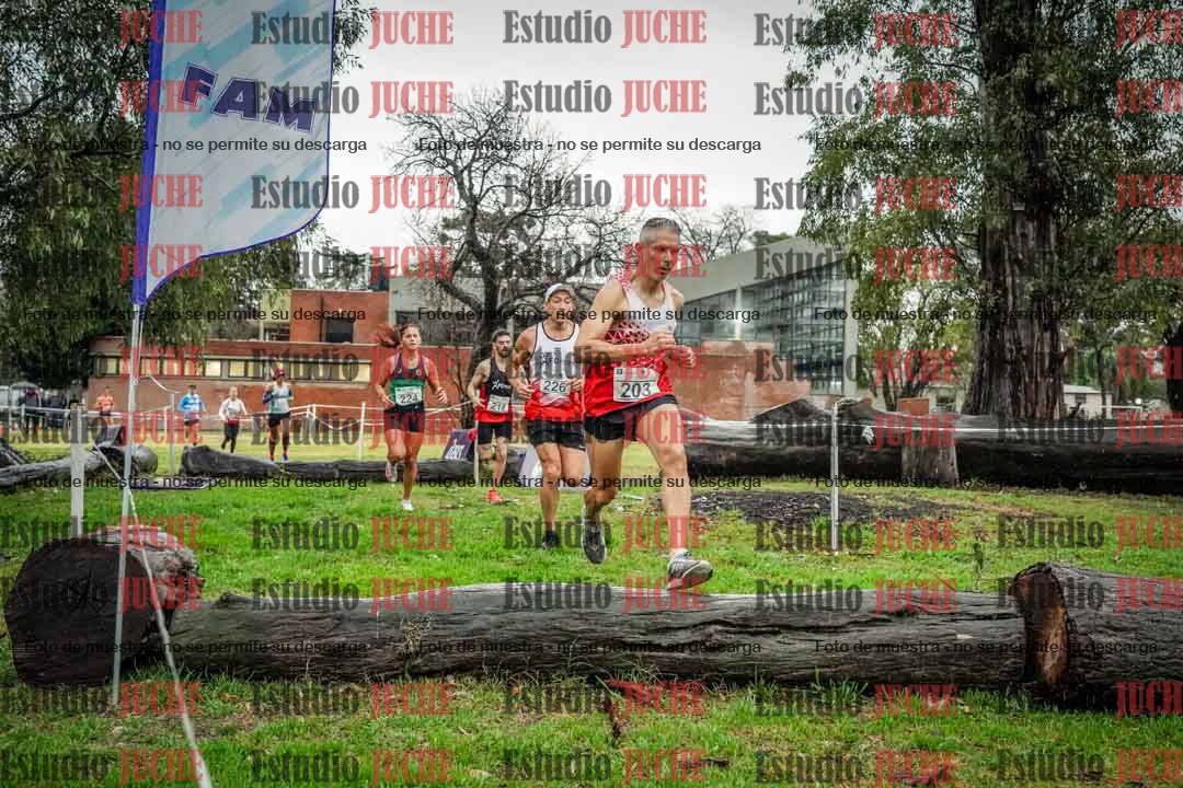 Fotos en el circuito