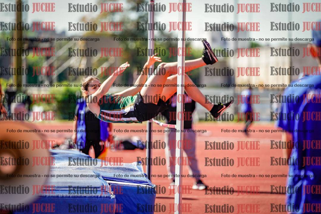 Fotos del salto en alto