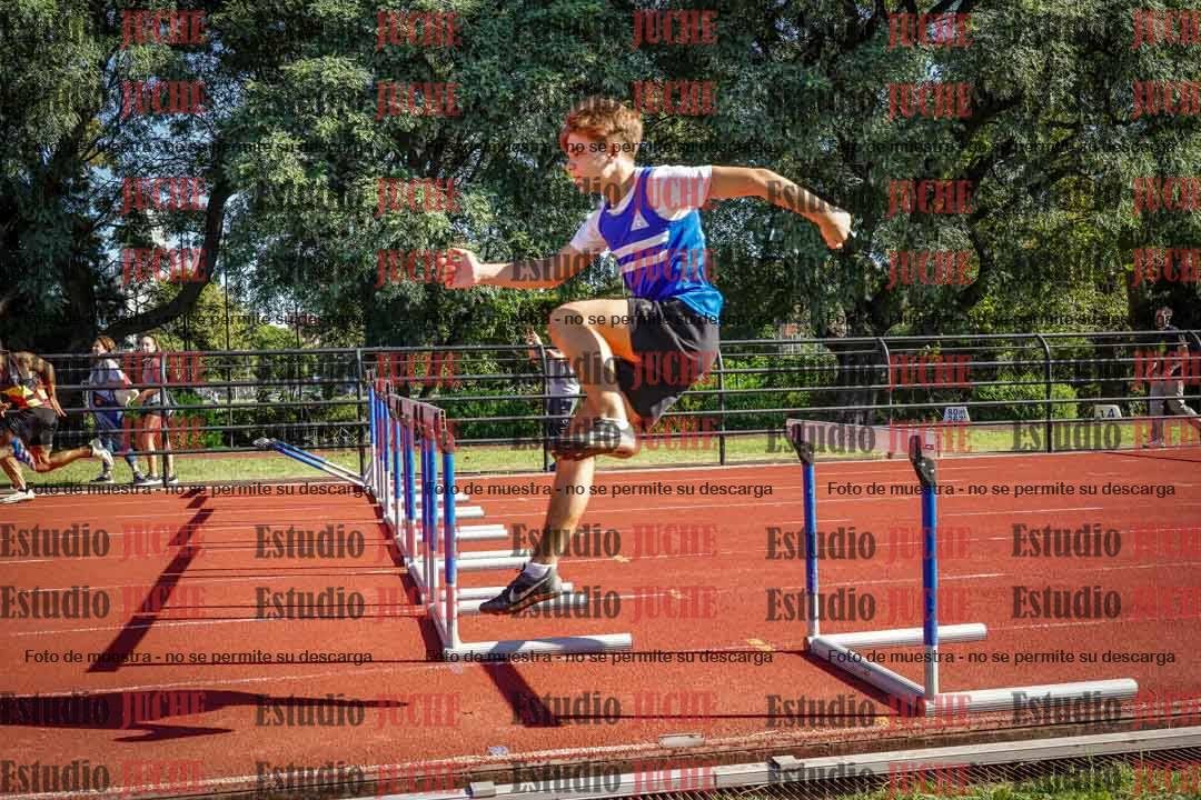 Fotos de los 110 m con vallas de varones