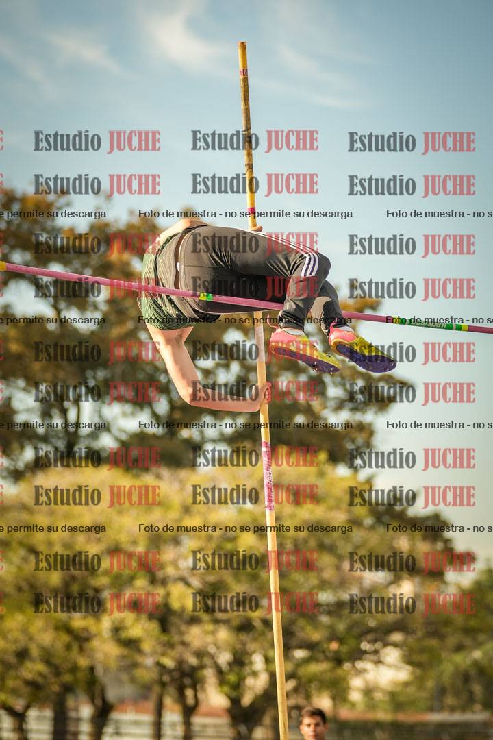 Fotos del salto con garrocha de mujeres y varones