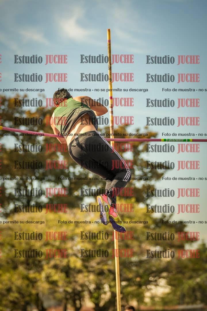 Fotos del salto con garrocha de mujeres y varones
