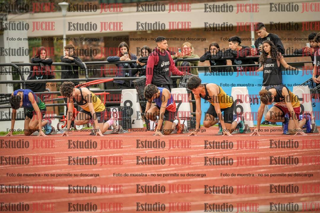 Fotos de los 110 m con vallas de varones