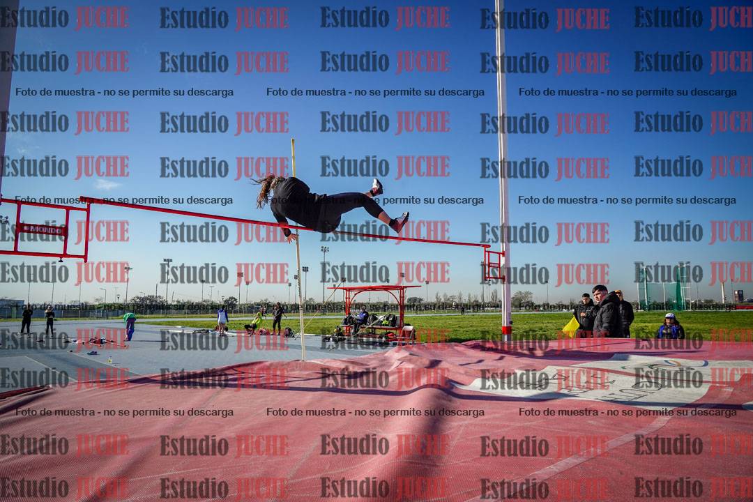 Fotos del salto con garrocha de mujeres y varones