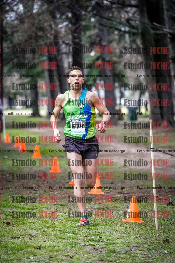 Fotos en el circuito