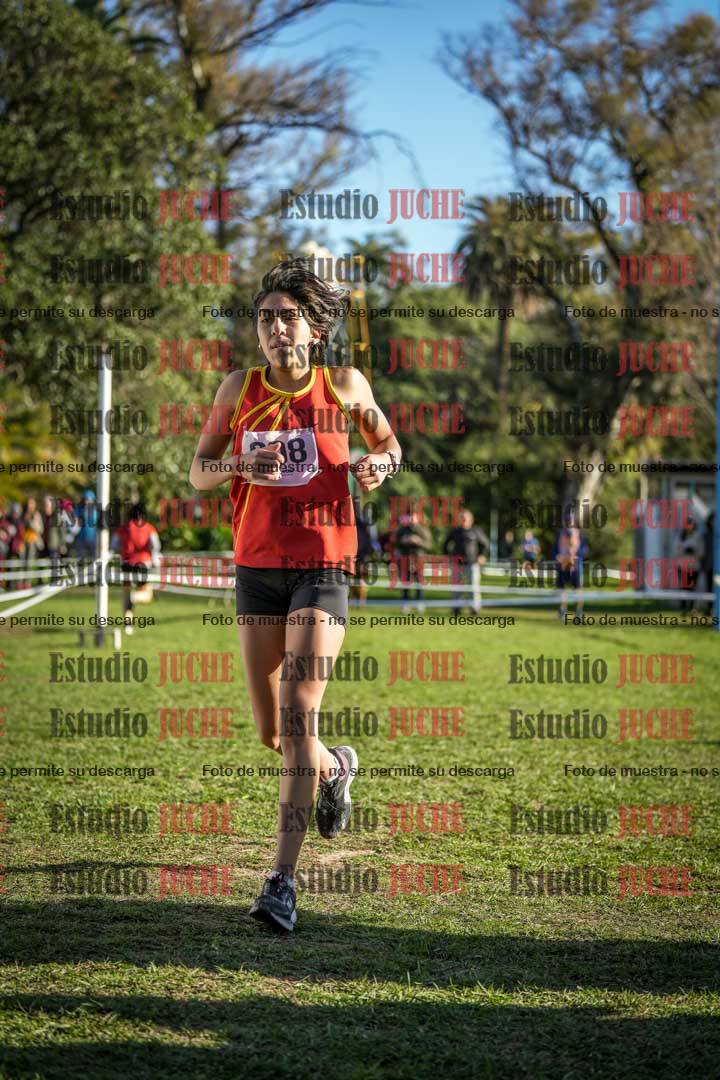 Fotos de la llegada del cross de 4000 m - mujeres