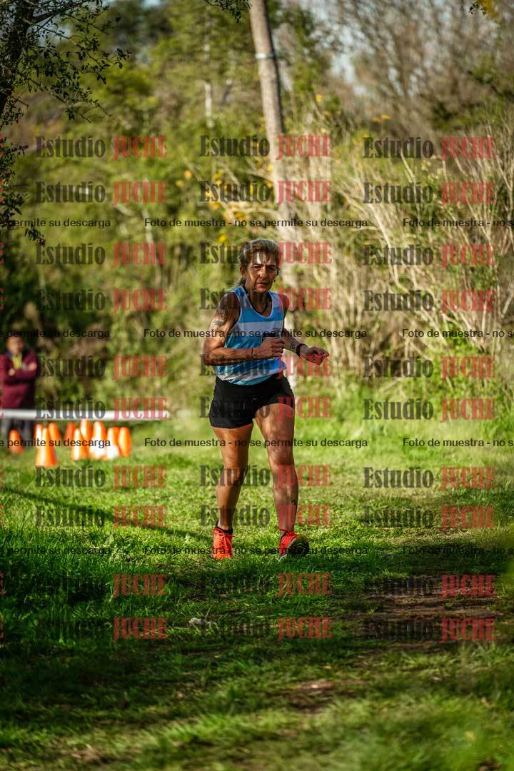 Fotos en el circuito