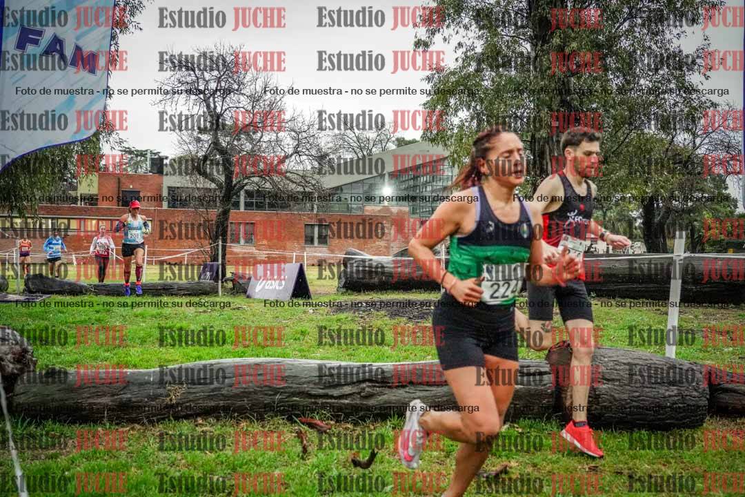 Fotos en el circuito