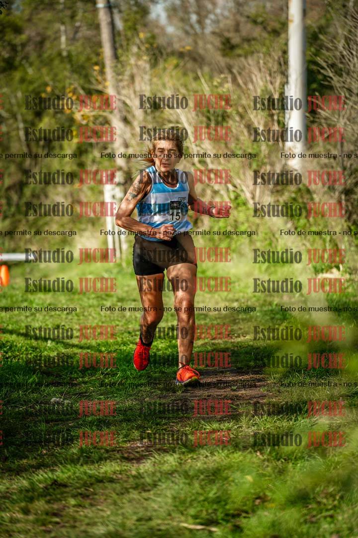 Fotos en el circuito