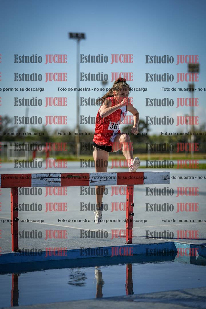 Fotos de los 3000 m con obstáculos de mujeres