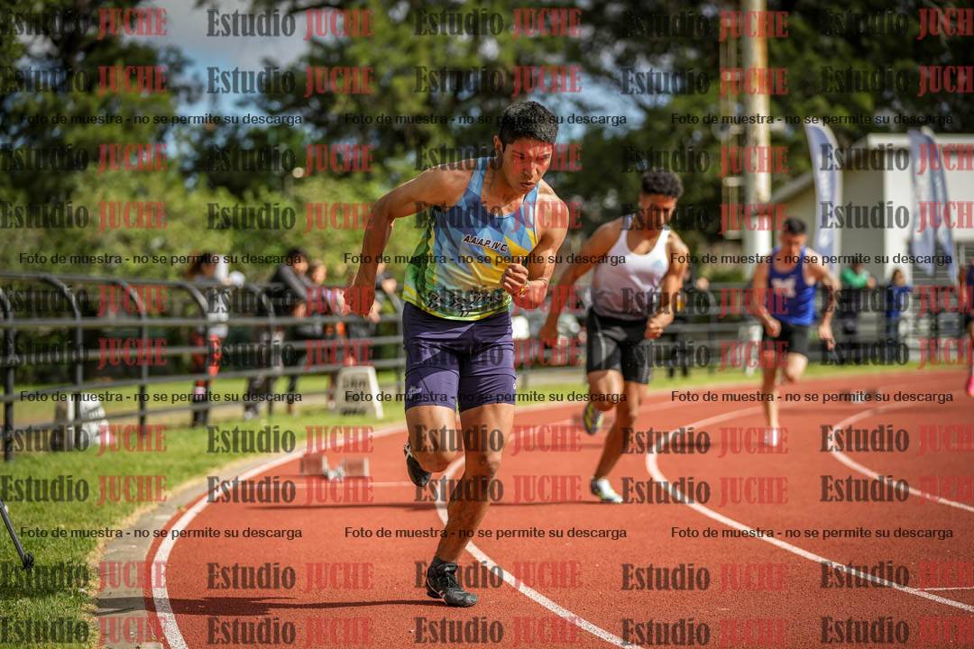 Fotos de los 400 m con vallas de varones