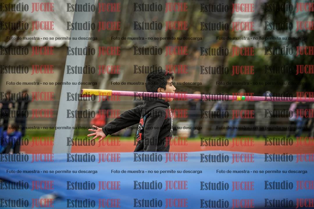 Fotos del salto en alto de mujeres y varones - todos los grupos