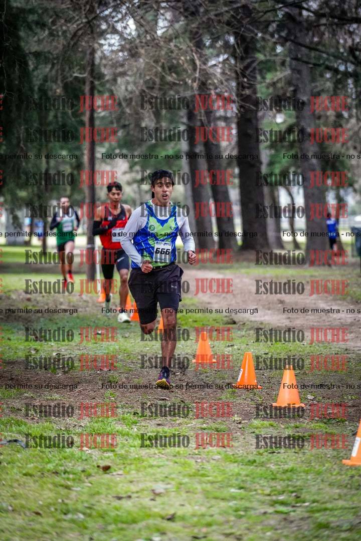Fotos en el circuito