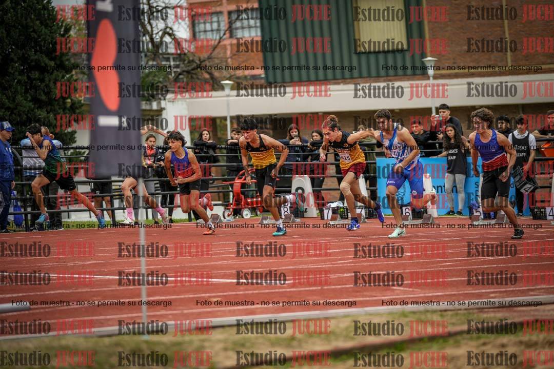 Fotos de los 110 m con vallas de varones