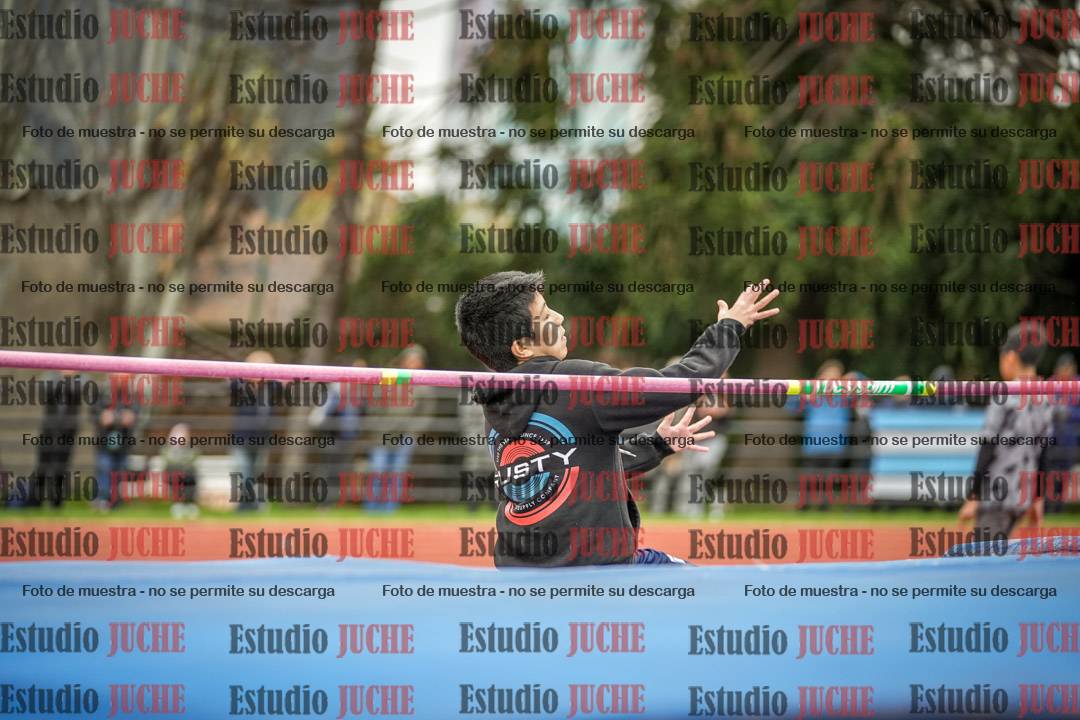 Fotos del salto en alto de mujeres y varones - todos los grupos