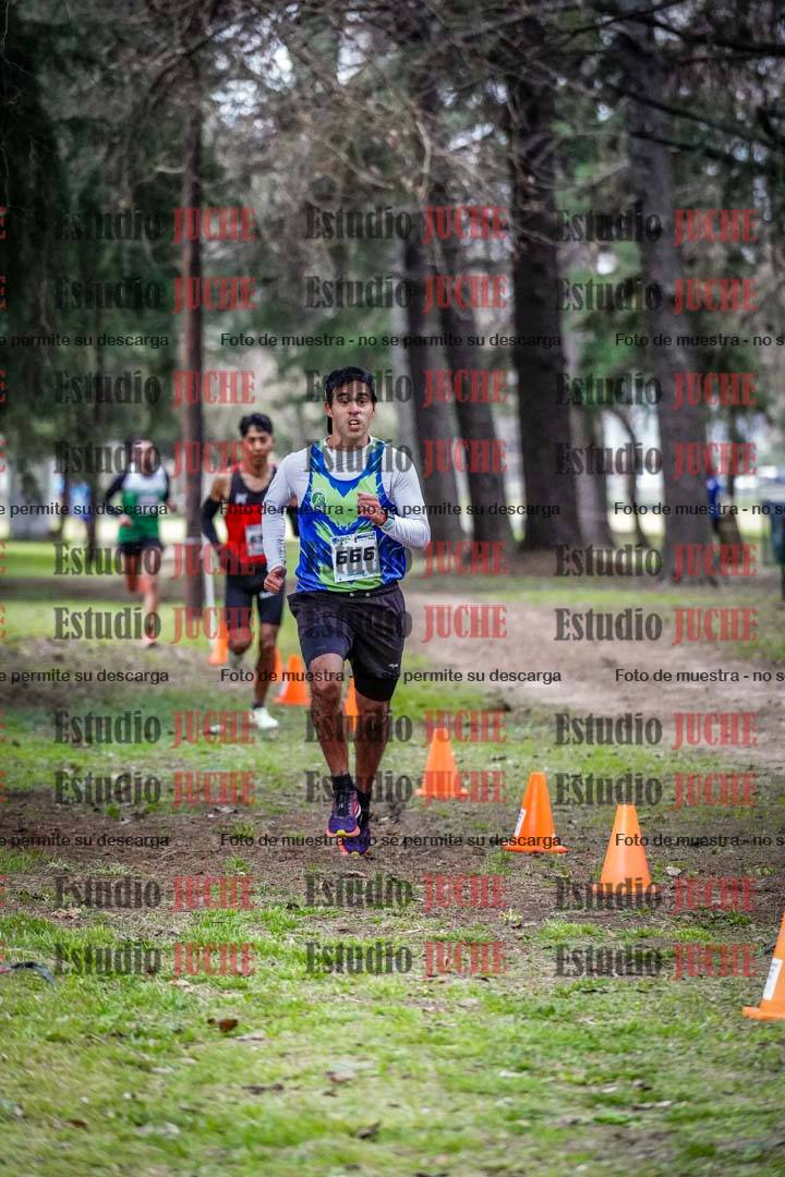 Fotos en el circuito
