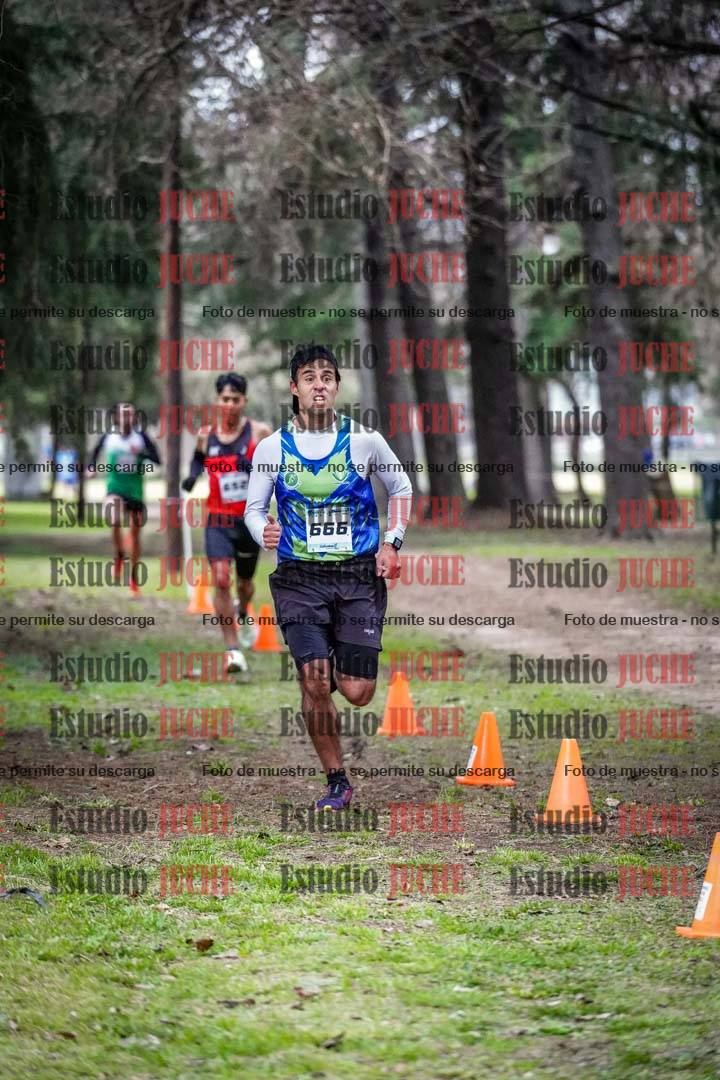 Fotos en el circuito