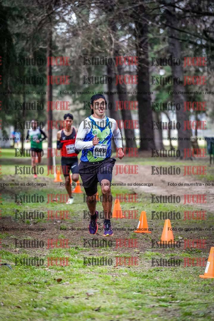 Fotos en el circuito