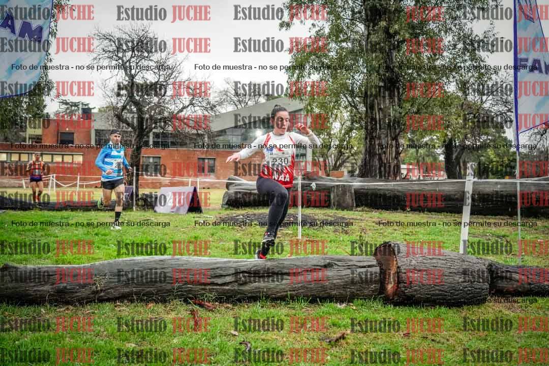 Fotos en el circuito
