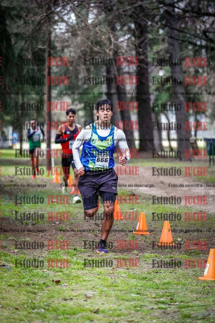Fotos en el circuito