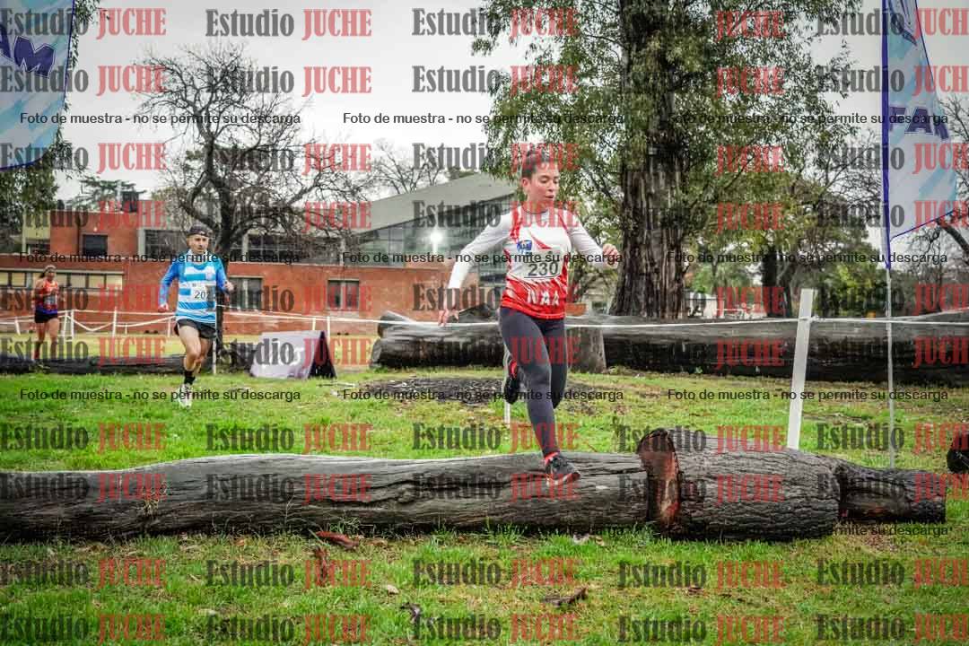 Fotos en el circuito
