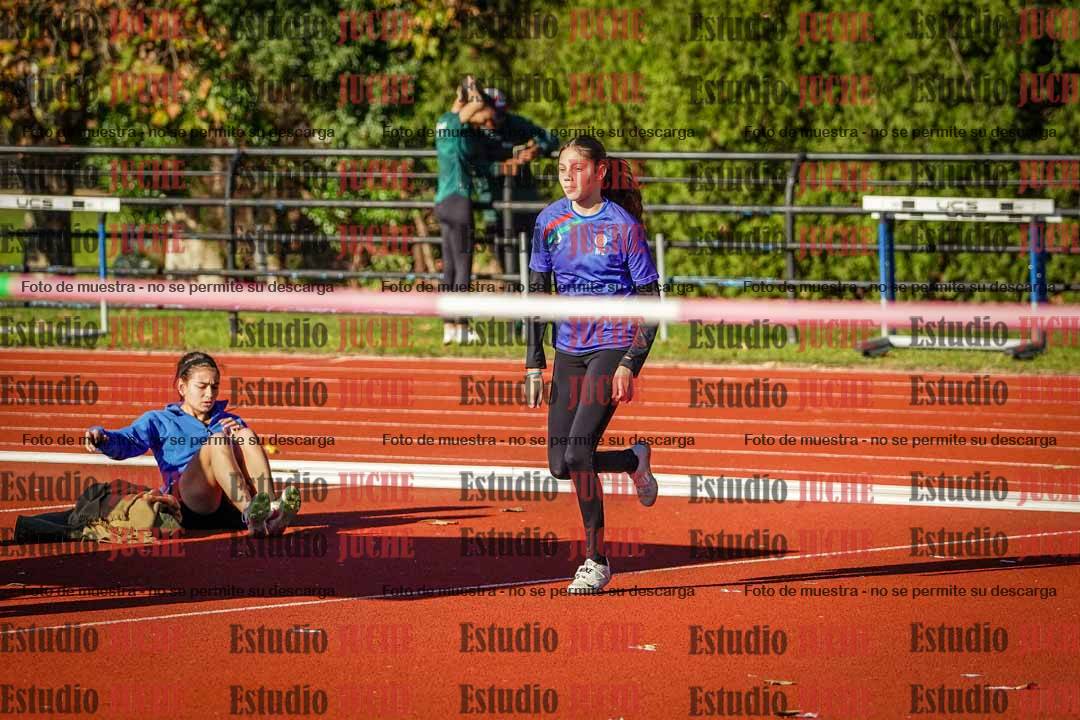 Fotos del salto en alto