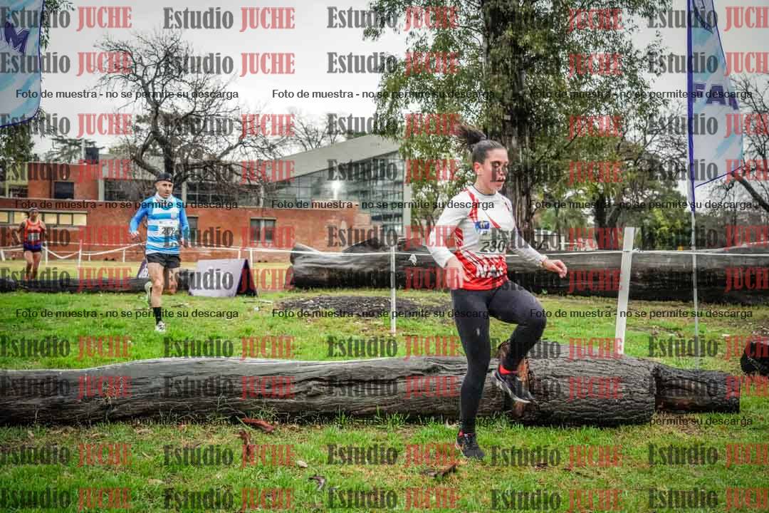 Fotos en el circuito