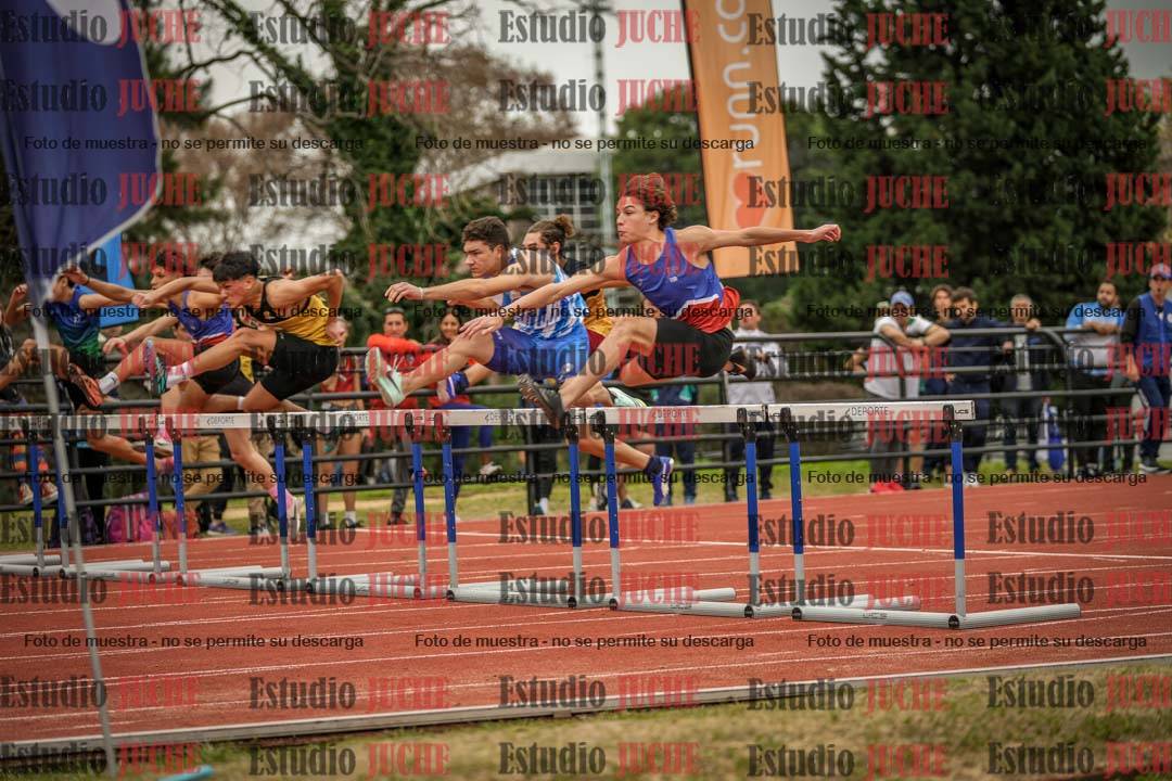 Fotos de los 110 m con vallas de varones