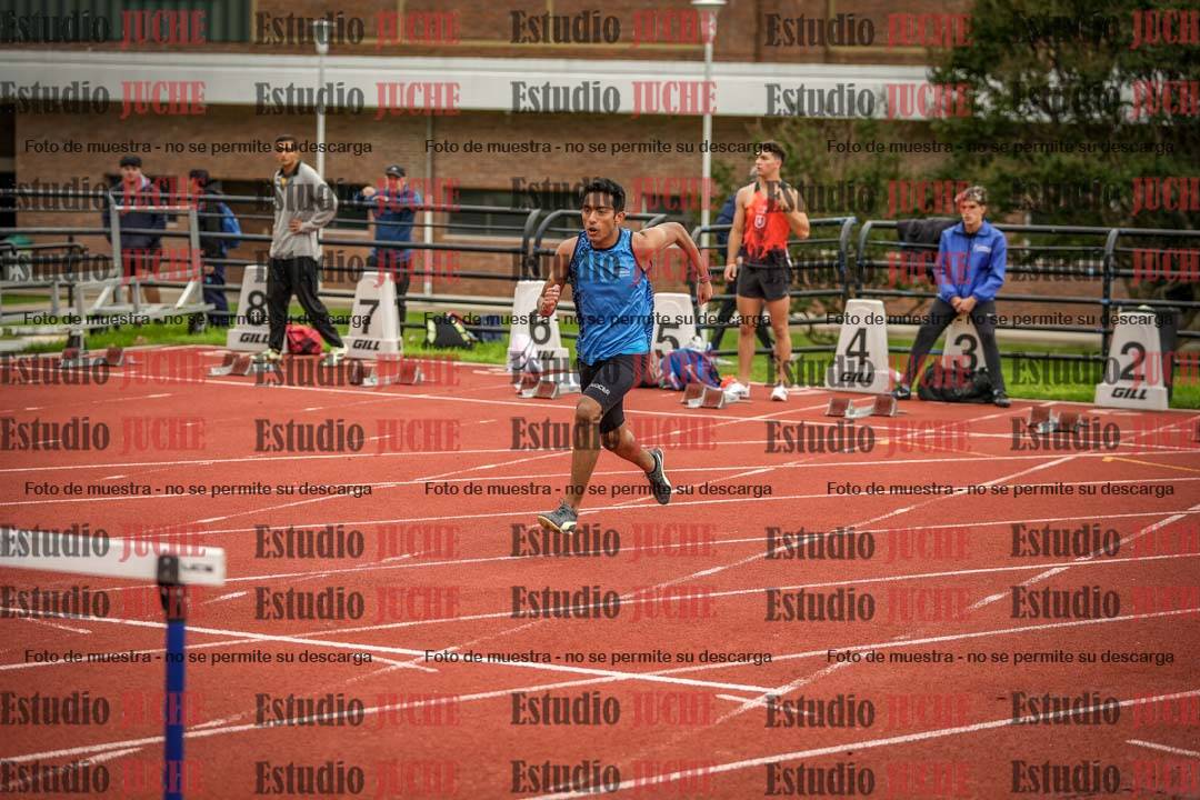 Fotos de los 110 m con vallas de varones