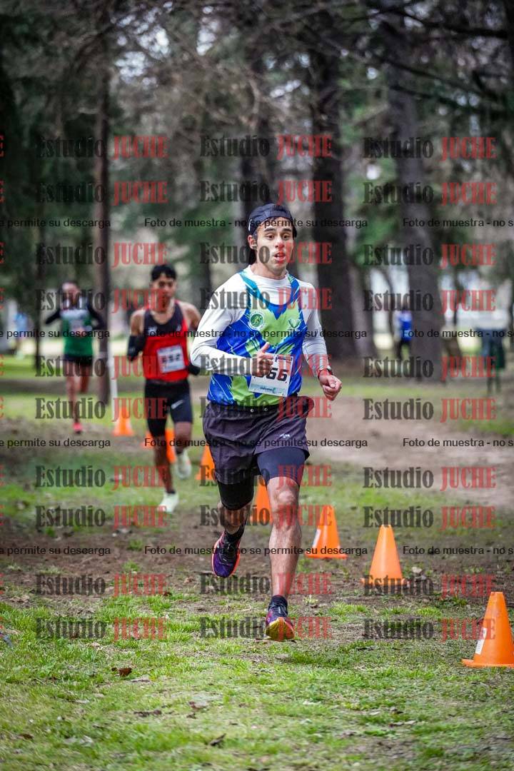 Fotos en el circuito