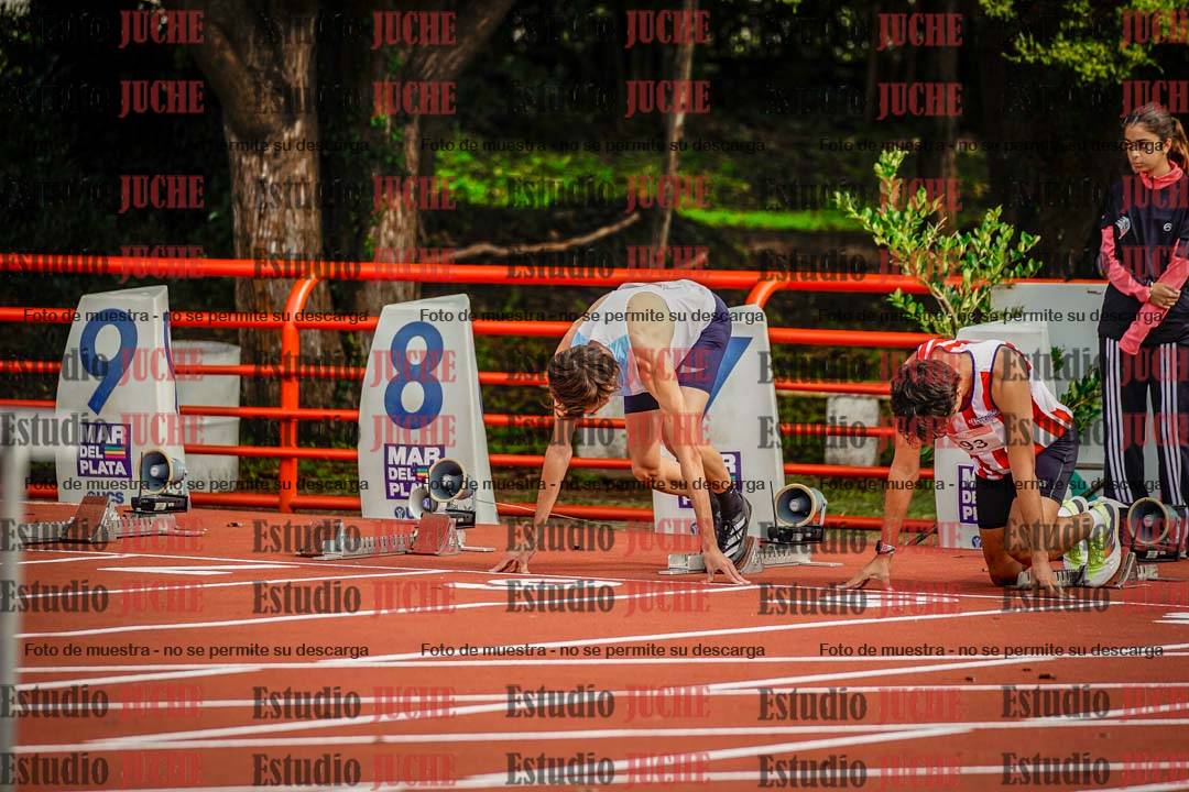 Fotos de los 110 m con vallas de varones