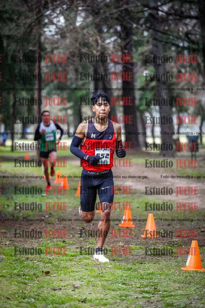 Fotos en el circuito
