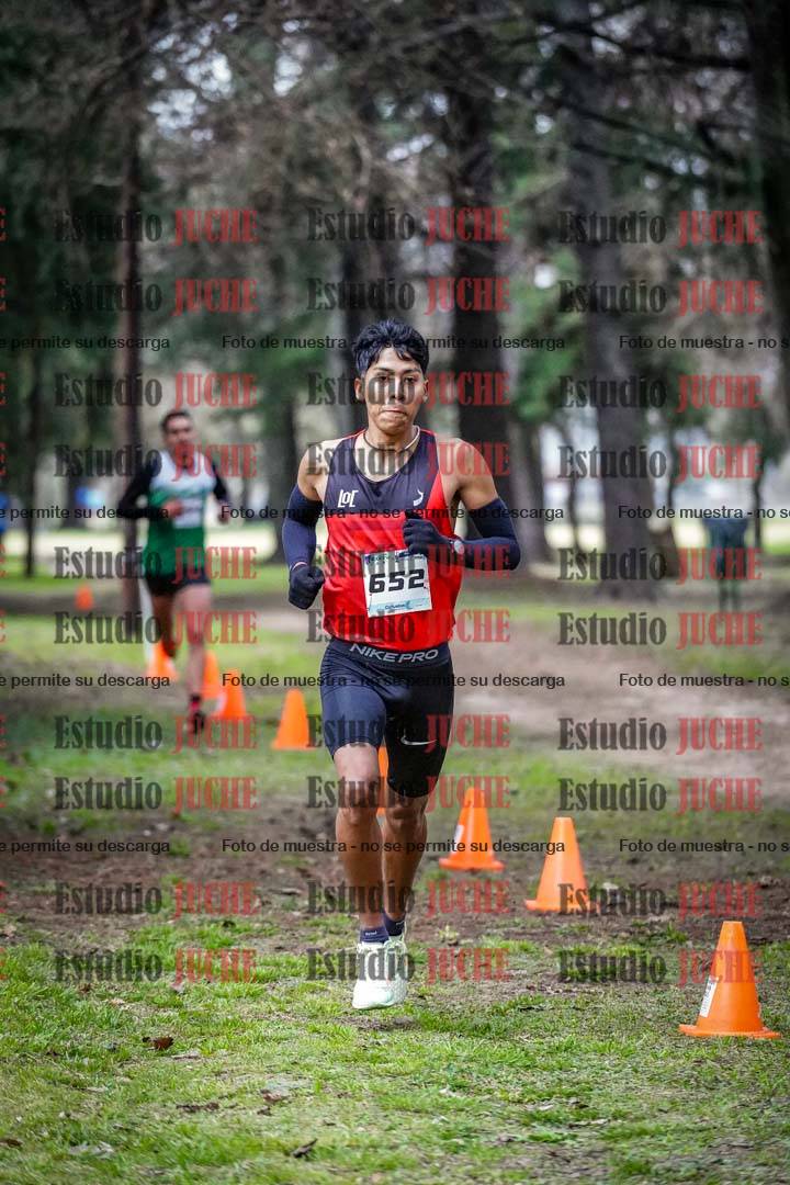 Fotos en el circuito