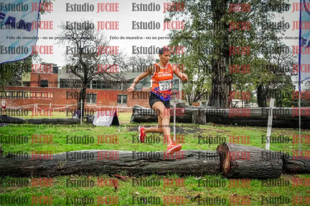 Fotos en el circuito