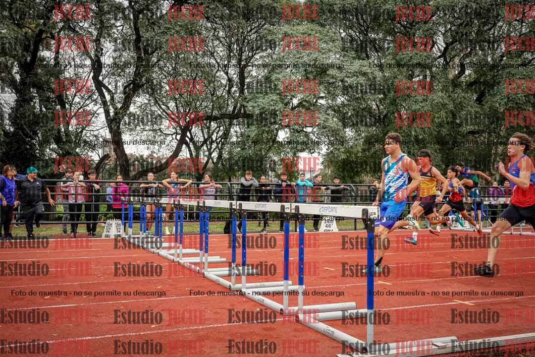 Fotos de los 110 m con vallas de varones