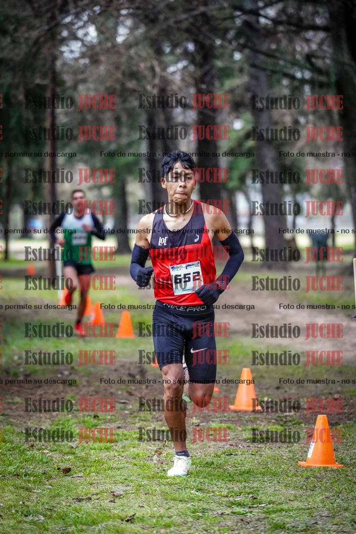 Fotos en el circuito