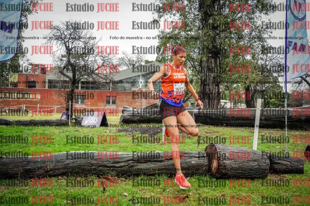 Fotos en el circuito