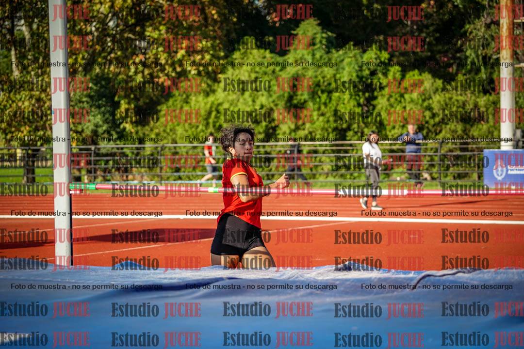 Fotos del salto en alto de mujeres - hepta 2