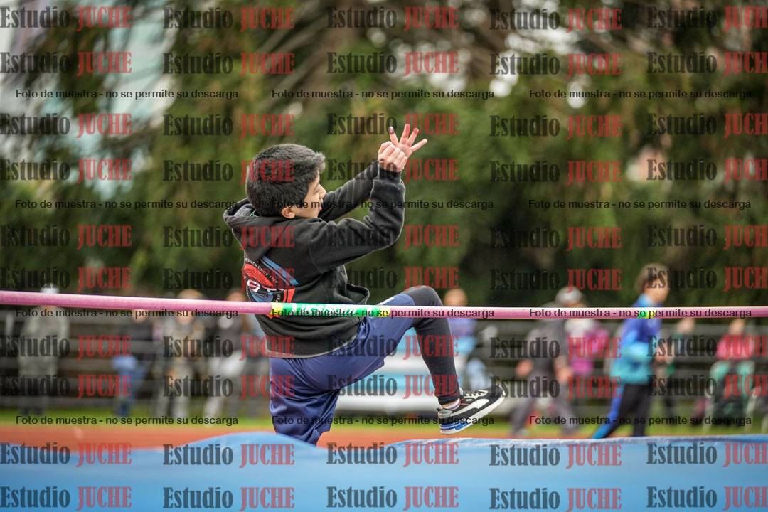 Fotos del salto en alto de mujeres y varones - todos los grupos
